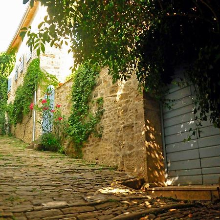 Ruine-Motovun Dh Villa Exterior photo