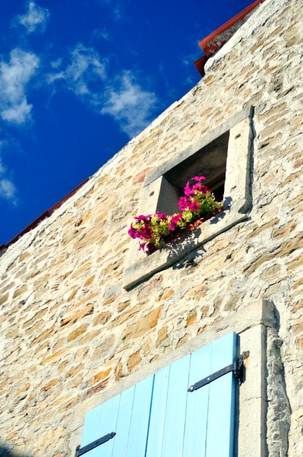 Ruine-Motovun Dh Villa Exterior photo