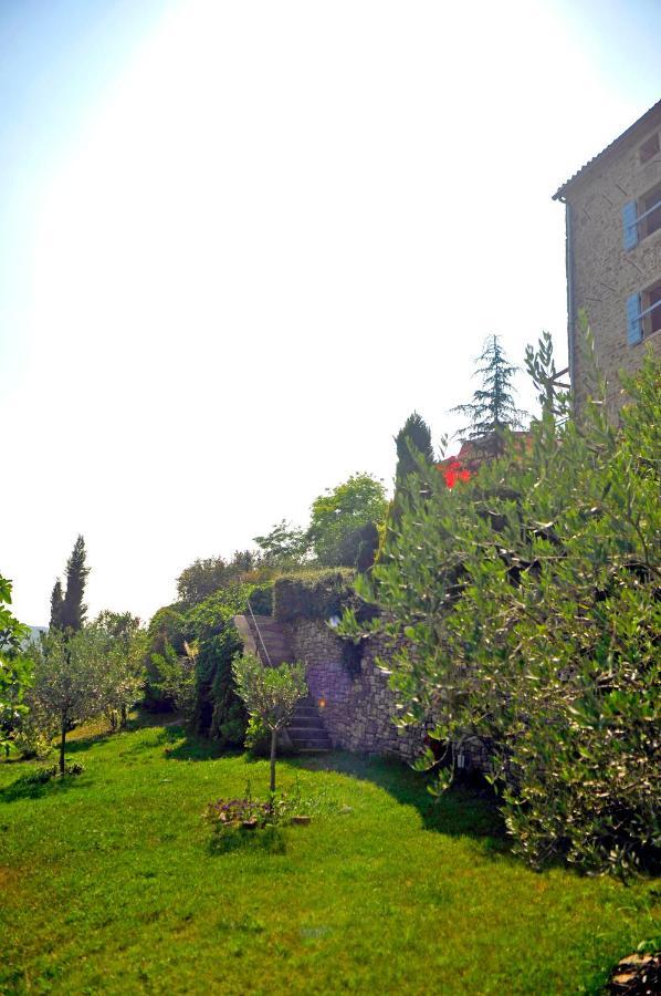 Ruine-Motovun Dh Villa Exterior photo