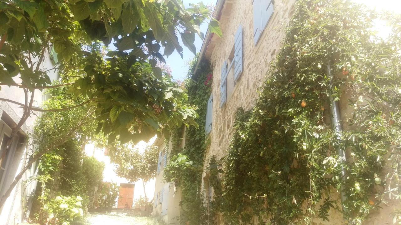 Ruine-Motovun Dh Villa Exterior photo